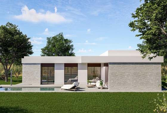 Nouvelle construction - Villa - Pinoso - Lel