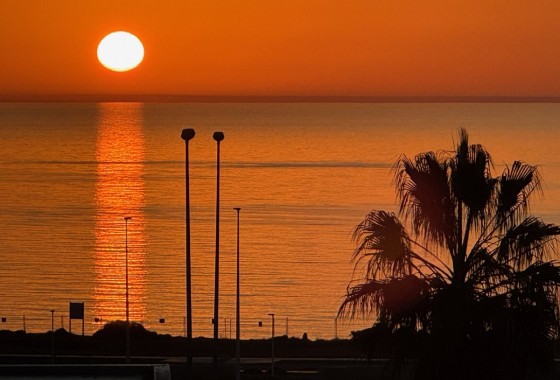 Resale - Apartment - Playa Flamenca