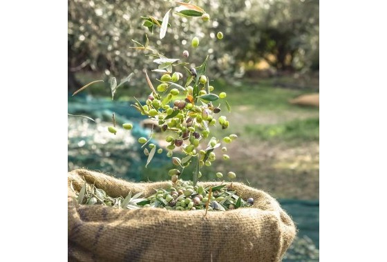 Revente - Finca - Murcia - Rincón de Seca