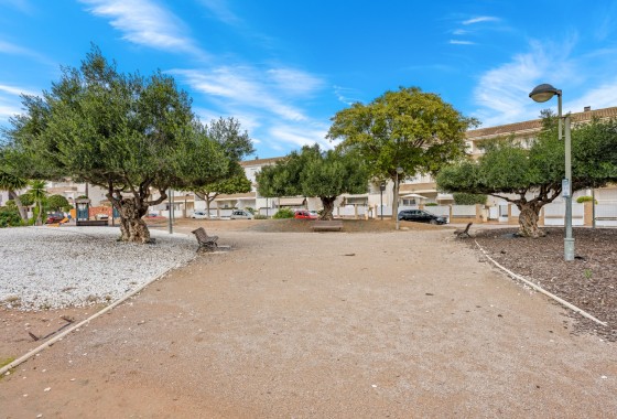 Segunda Mano - Apartamento - Torre Pacheco* - Torrepacheco