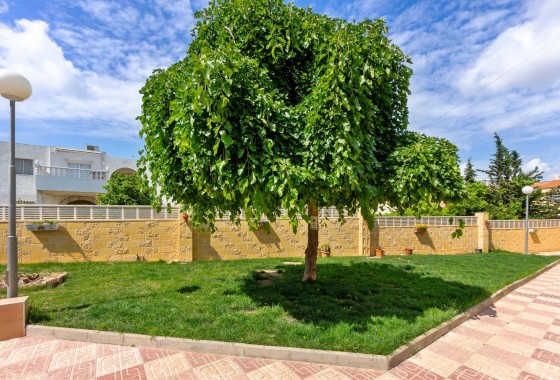 Revente - Appartement - Torrevieja - El chaparral