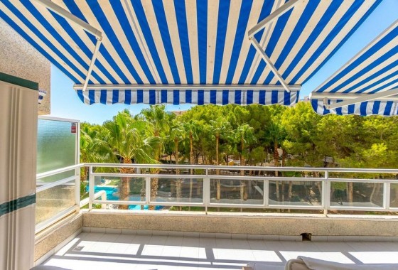 Segunda Mano - Apartamento - Orihuela Costa - Campoamor