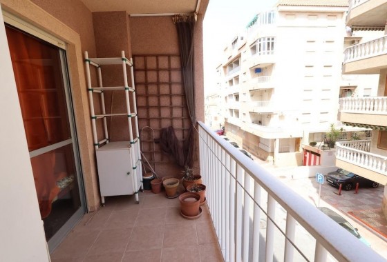 Segunda Mano - Apartamento - Torrevieja - Acequion