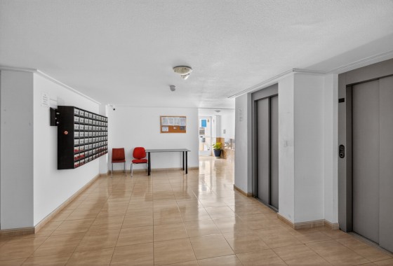 Segunda Mano - Apartamento - Torrevieja - Costa Blanca