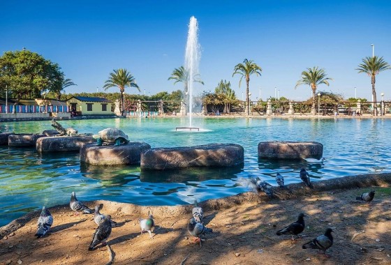 Resale - Apartment - Torrevieja - Parque las naciones