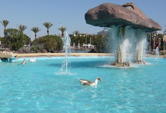 Resale - Apartment - Torrevieja - Parque las naciones