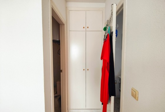 Segunda Mano - Apartamento - Torrevieja - Costa Blanca