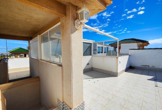 Segunda Mano - Apartamento - Torrevieja - Costa Blanca