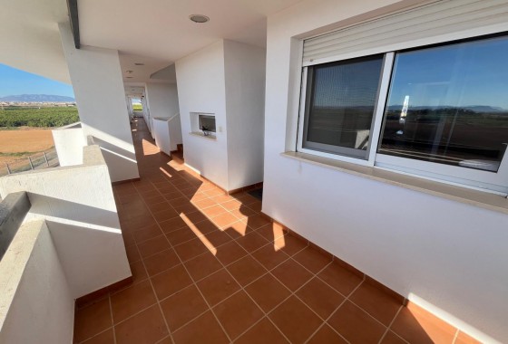 Revente - Appartement - Torre Pacheco - Inland