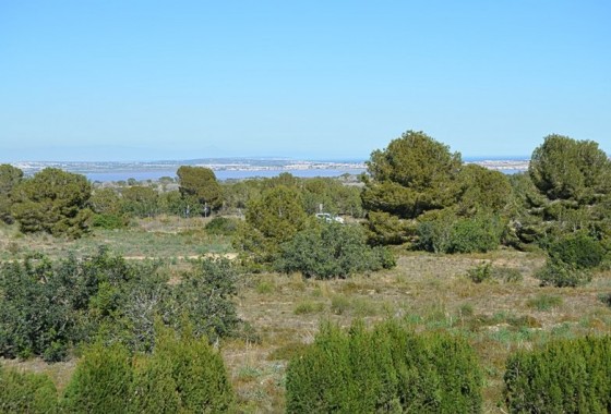 Revente - Appartement - San Miguel de Salinas - Costa Blanca