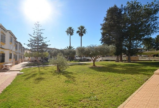 Revente - Appartement - San Miguel de Salinas - Costa Blanca