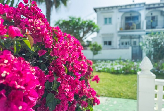 Revente - Bungalow - Torrevieja - Lago jardin