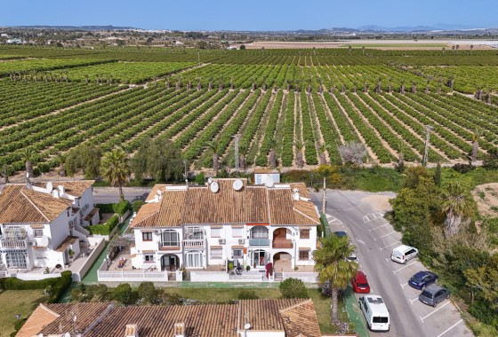 Revente - Bungalow - Torrevieja - Lago jardin