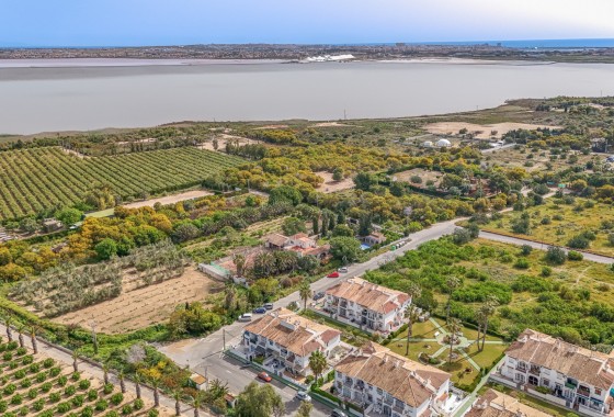 Revente - Bungalow - Torrevieja - Lago jardin