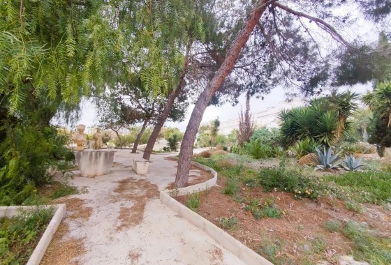 Revente - Villa - San Miguel de Salinas - Las filipinas