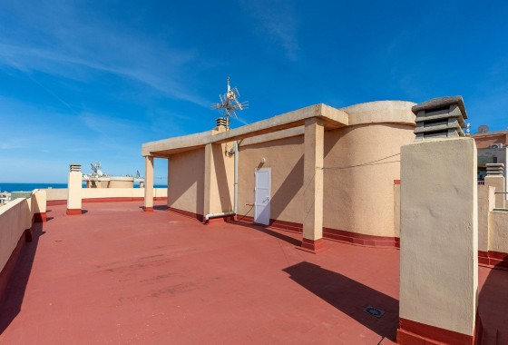 Resale - Apartment - Torrevieja - Cabo cervera