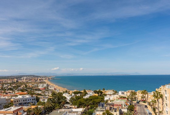 Resale - Apartment - Torrevieja - Cabo cervera