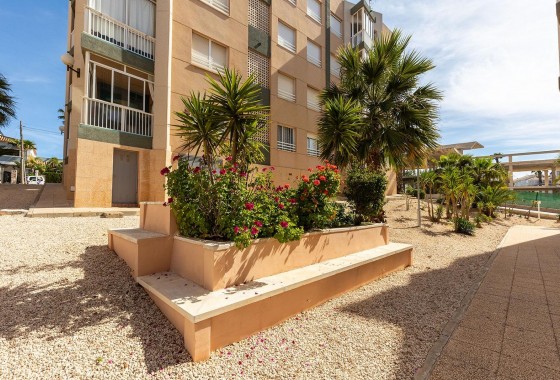 Resale - Apartment - Torrevieja - Cabo cervera