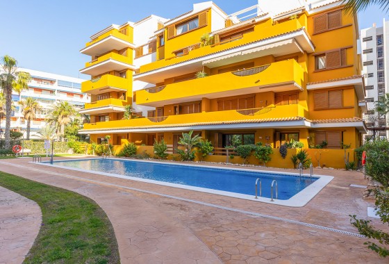 Revente - Appartement - Torrevieja - Punta prima