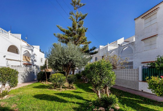 Revente - Maison mitoyenne - Torrevieja - Calas blanca
