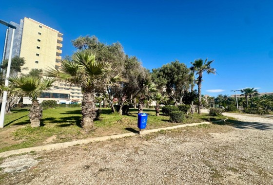 Resale - Apartment - Torrevieja - Cabo cervera