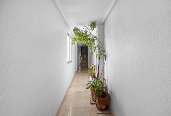 Resale - Apartment - Torrevieja - Playa del cura