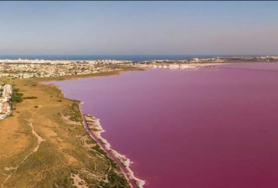 Revente - Villa - Torrevieja
