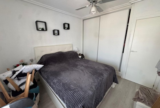 Revente - Bungalow - Torrevieja - La Siesta - El Salado - Torreta