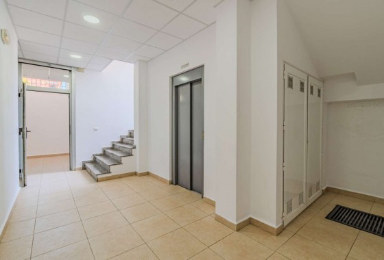 Segunda Mano - Business local - Torrevieja - Nueva Torrevieja - Aguas Nuevas