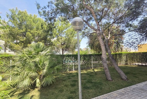 Revente - Appartement - Villamartin - Los Dolses