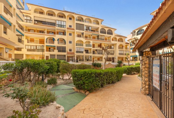 Segunda Mano - Apartamento - Torrevieja - La Mata