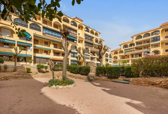 Segunda Mano - Apartamento - Torrevieja - La Mata