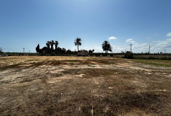 Segunda Mano - Parcela - San Miguel de Salinas - San Miguel Salinas