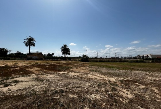 Segunda Mano - Parcela - San Miguel de Salinas - San Miguel Salinas