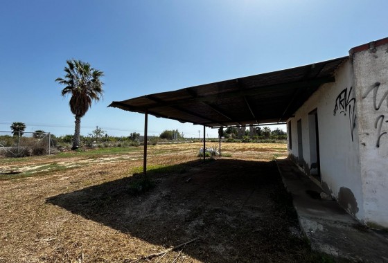 Segunda Mano - Parcela - San Miguel de Salinas - San Miguel Salinas