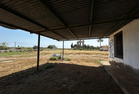Segunda Mano - Parcela - San Miguel de Salinas - San Miguel Salinas