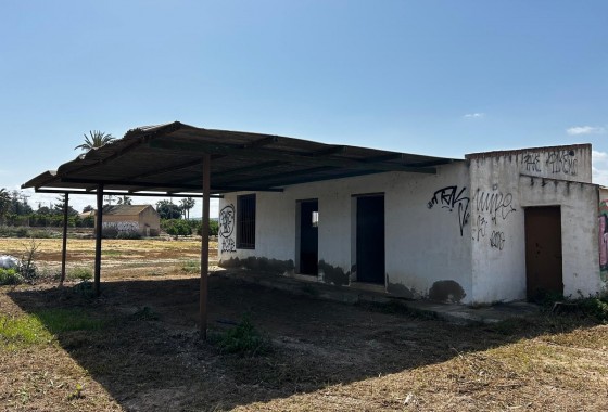 Segunda Mano - Parcela - San Miguel de Salinas - San Miguel Salinas