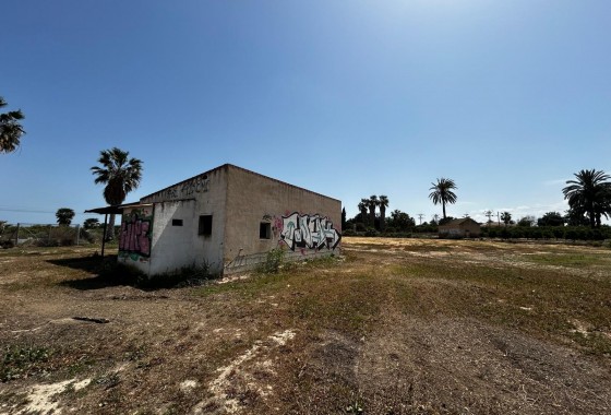 Segunda Mano - Parcela - San Miguel de Salinas - San Miguel Salinas