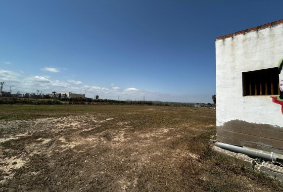 Segunda Mano - Parcela - San Miguel de Salinas - San Miguel Salinas
