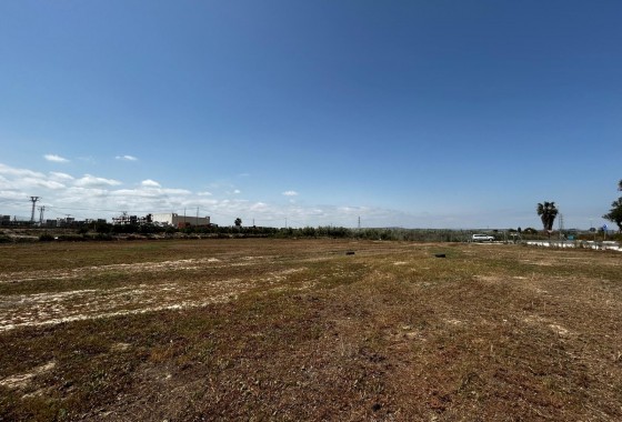 Segunda Mano - Parcela - San Miguel de Salinas - San Miguel Salinas