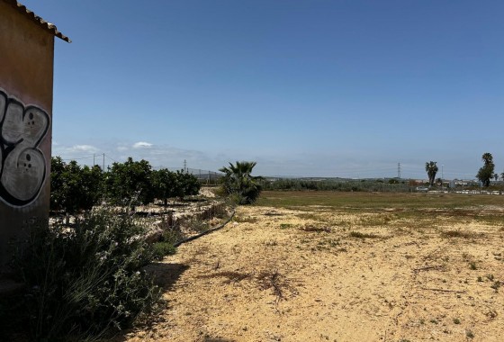 Segunda Mano - Parcela - San Miguel de Salinas - San Miguel Salinas