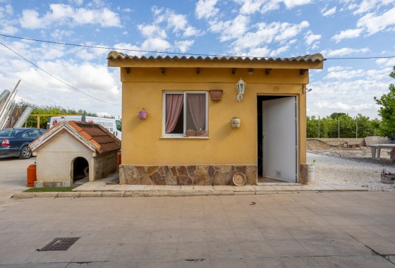 Segunda Mano - Chalet - Elche - La Hoya