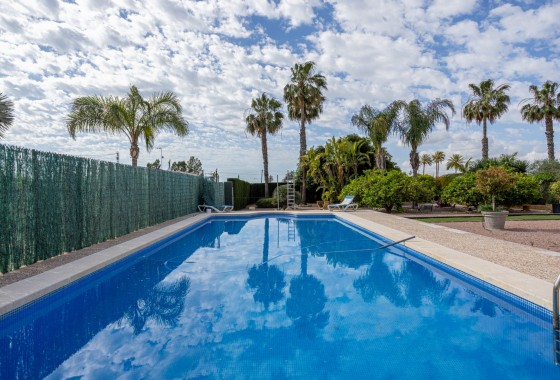 Segunda Mano - Chalet - Elche - La Hoya