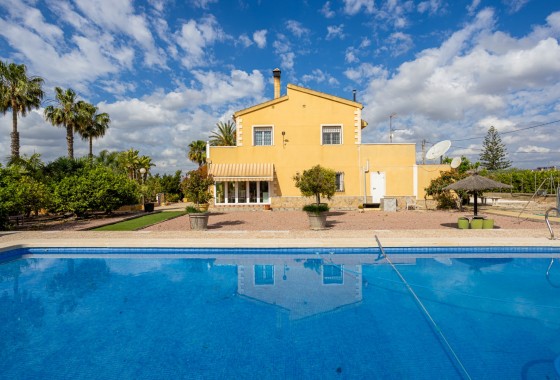 Segunda Mano - Chalet - Elche - La Hoya