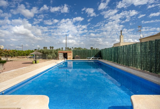 Segunda Mano - Chalet - Elche - La Hoya