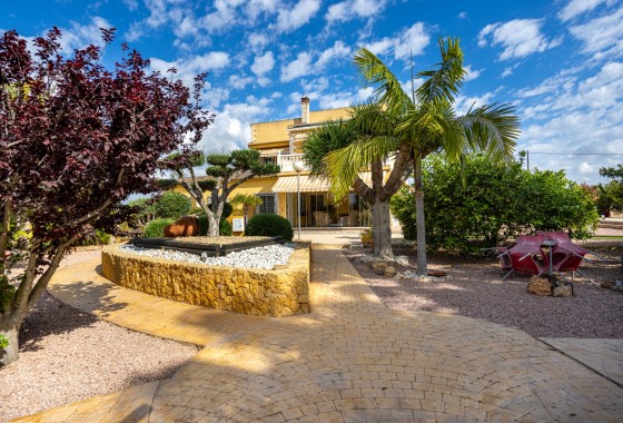 Segunda Mano - Chalet - Elche - La Hoya