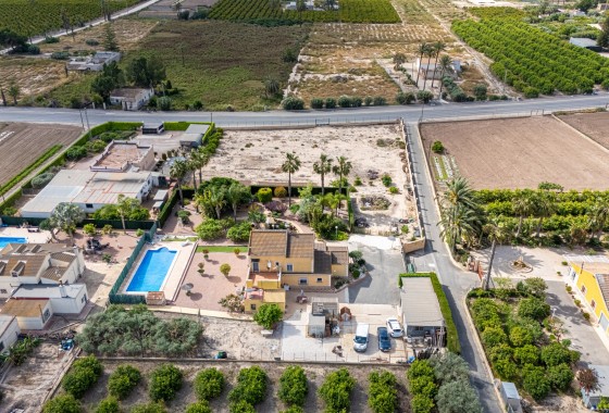 Segunda Mano - Chalet - Elche - La Hoya