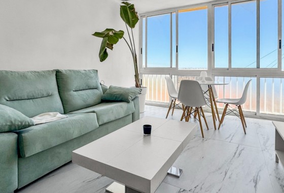 Segunda Mano - Apartamento - Orihuela Costa - Punta Prima