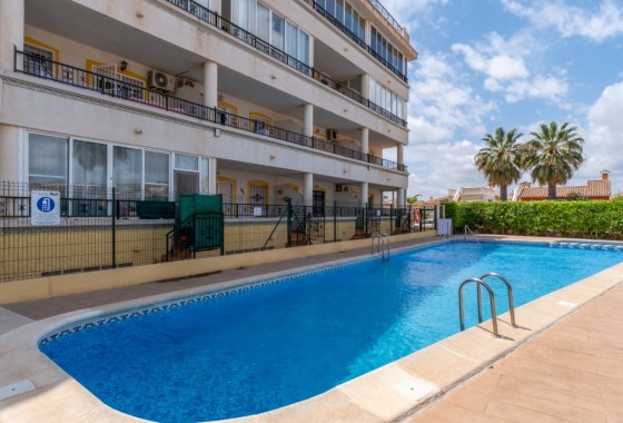 Segunda Mano - Apartamento - Orihuela Costa - La Florida