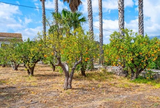 Resale - Country Property - La Nucía